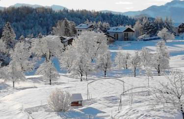 Appartamenti DOLOMITI - Foto 12