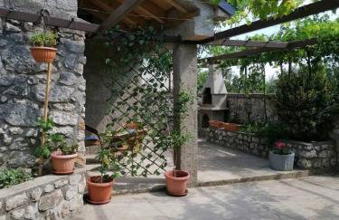 Apartman Ane - Bribir - Foto 41