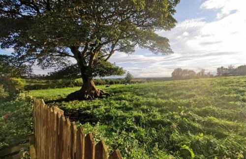 Cozy at the Causeway - Foto 28