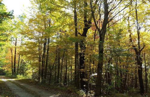 Deer Valley Retreat, Lovely Log Cabin with Fireplace & Garden Views- Perfect for a Relaxing Getaway! - Foto 31