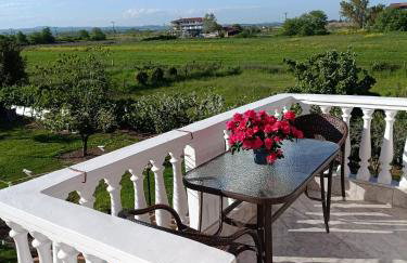 Verginia Studios - Photo 56