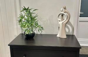 THE ANNEXs - Photo 23