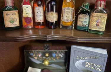 Gryffindor Common Room- Warner Bros Studios & London - Foto 13