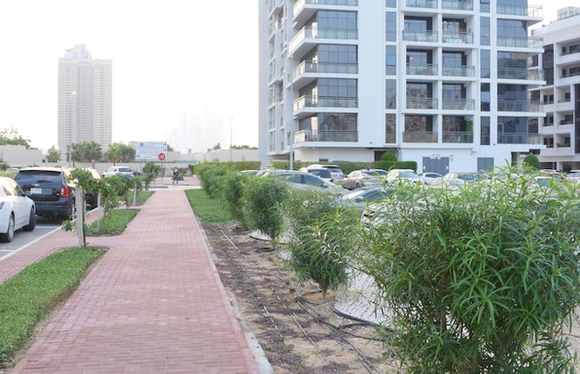 Cozy 1 Bedroom In J8 Al Safouh - Photo 15