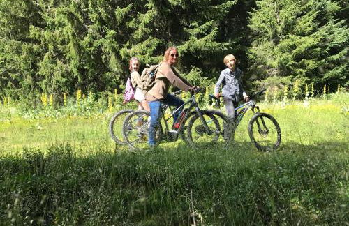 Le Chevreuil - Foto 16