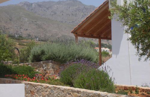 Studios Fokies - Photo 20