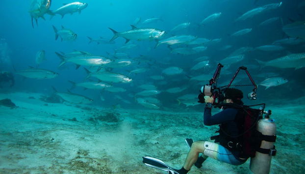 Xcalak Scuba Diving - Foto 5