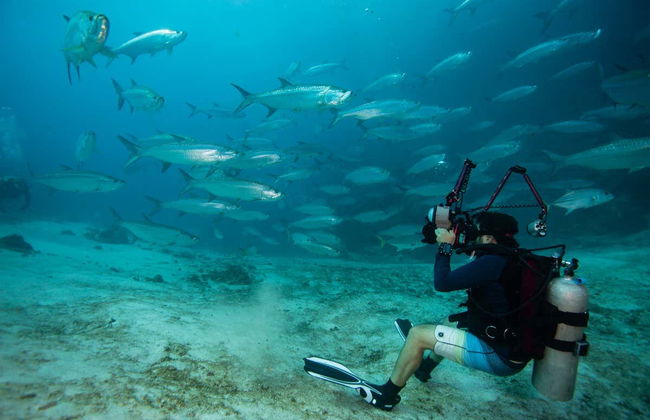 Xcalak Scuba Diving - Foto 5