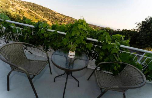 Mano's House - Foto 43