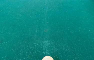 Sitio descanso da Serra - Foto 14