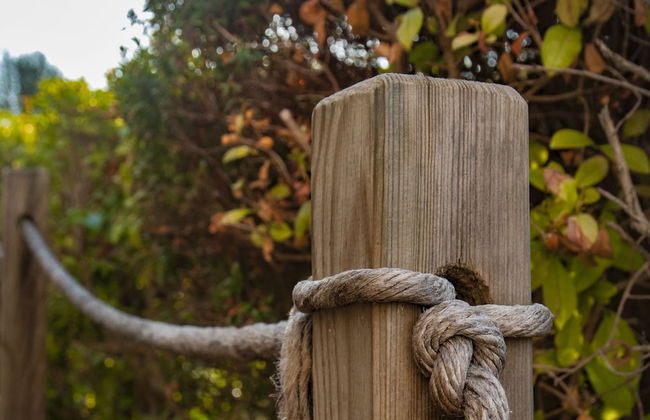 Apartment in Salento With Sea View & Pool - Foto 11