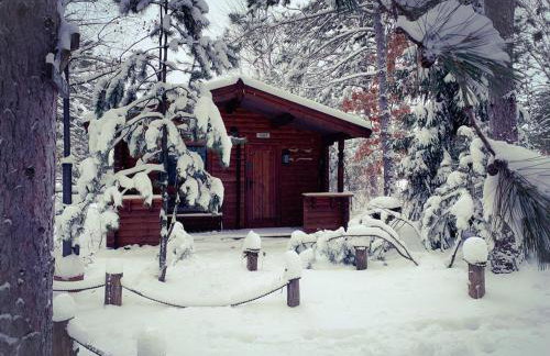 Honeybear Hideaway Cabin - Foto 34