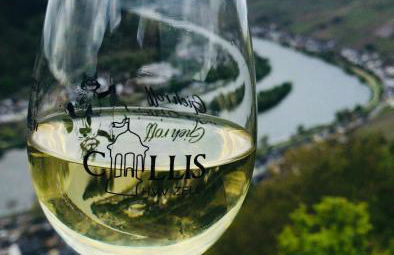 Ferienwohnung-Mesenich - Foto 10