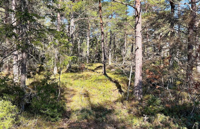 5 Star Holiday Home in Haro - Foto 18