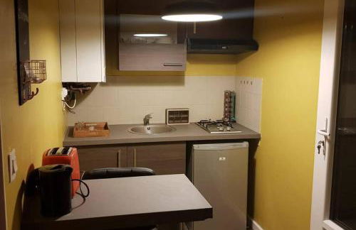 Studio privatif sur Orthez - Foto 7