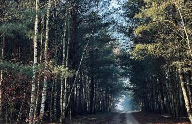 Dom Kacprowy - Brzegi Lasu - dwa apartamenty na wyłączność z ogrodem - Foto 58