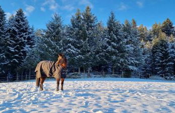 Urlaub an der Grenze - Foto 44