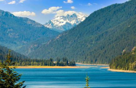 Hawthorn Cabin - Foto 63