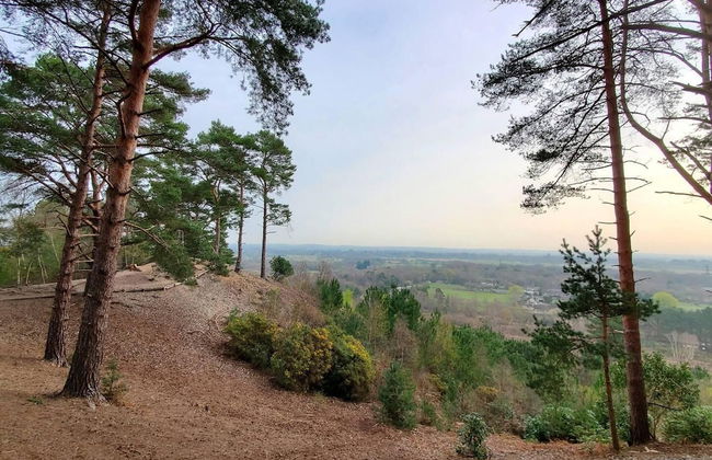 The Cedarwoods - Luxury Studio for 5! - Foto 34