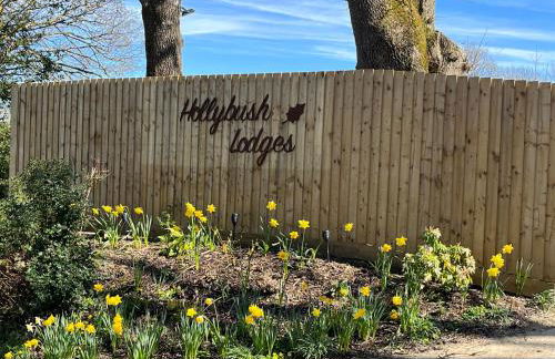 Hollybush Lodges - Foto 2