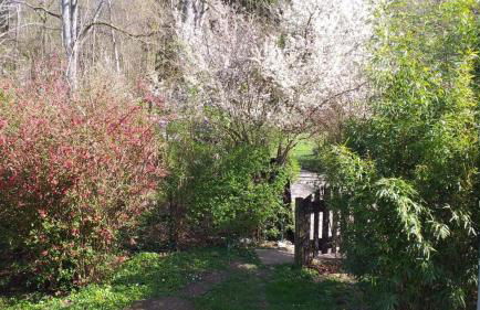 La Cabanette à 10min de Disneyland Paris - Cabane & Cabanon - Foto 1