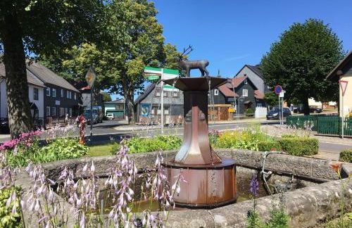 Haus Linde Frauenwald am Rennsteig - Foto 23