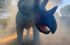 Casa dos Avós - Foto 76