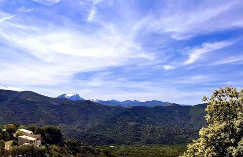 Appartement 2 chambres à Lama avec Piscine - Foto 46
