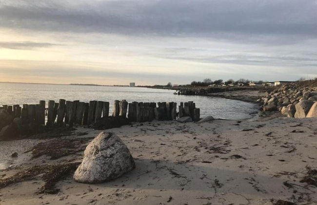 Wellness & Comfort Retreat - Photo 39