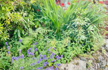 Kipplochan - Photo 72