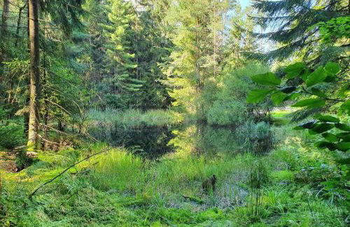 Odenwald-Lodge mit Infrarotsauna und E-Ladestation im Naturpark Odenwald "Haus Himmelblau" - Foto 31