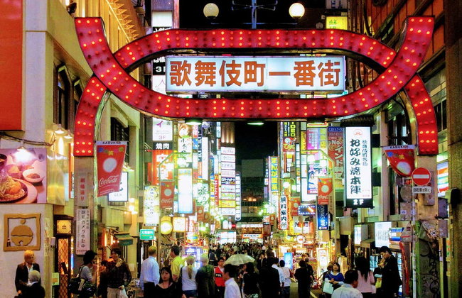 Tour de Tokio al completo - Foto 8