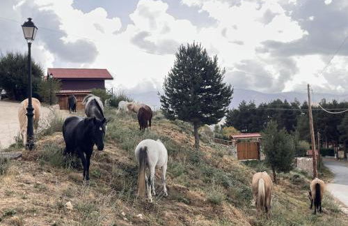 Cara norte de Gredos - Photo 46
