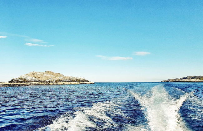 7 Person Holiday Home in Jarfjord-by Traum - Photo 27