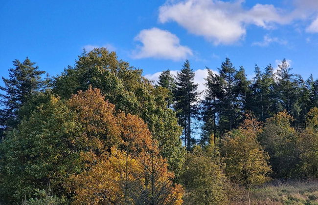 Luxury Spa Retreat in Thorsager - By Traum Ferienwohnungen - Photo 10