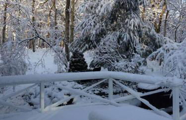 Private Home near Ocean Beaches, Nature Preserve - Foto 14