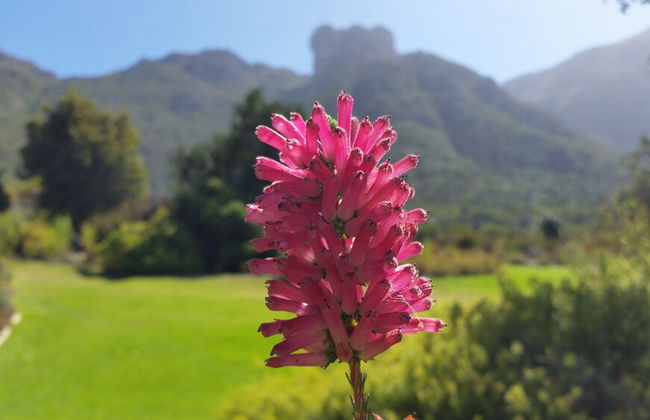 Hout Bay Beach Cottage - Photo 49