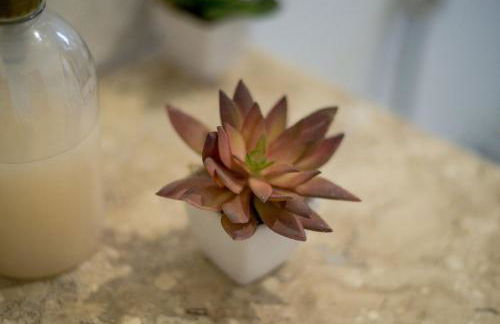 Fazenda Santa Thereza - Itapira - Foto 60