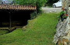 L'Ayalga Caleao - Foto 48