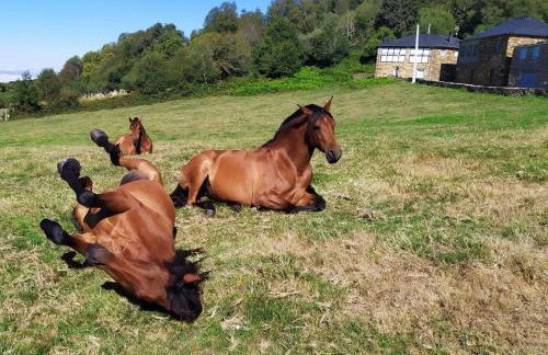 O Busto Aldea Rural - Foto 41