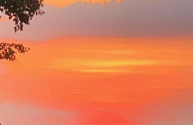 Chácara Santo Antonio - Foto 51