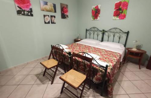 I Fiori di AminA - Foto 3