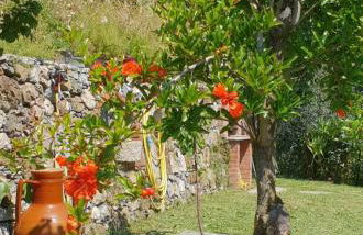 Ca' Olivella - Foto 22