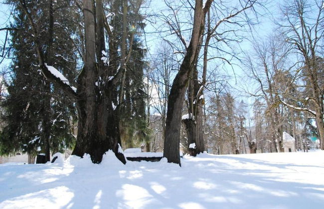 Alpine Comfort Stay, Cavalese - Foto 43