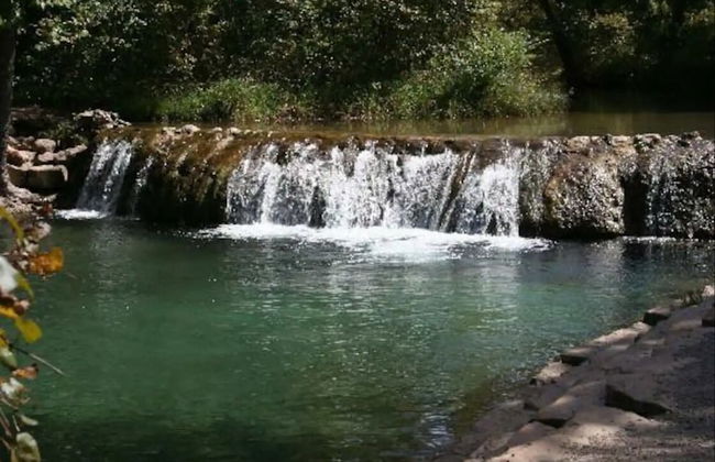 Cedarvale Cabins at Turner Falls - Photo 78