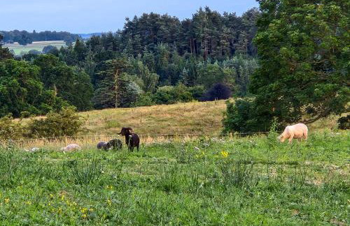 Mickledale at Wetheral Cottages - Foto 23