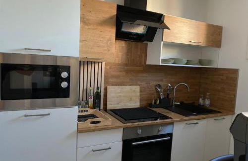 Softwave Wellness Home strasbourg with garage included - Foto 5