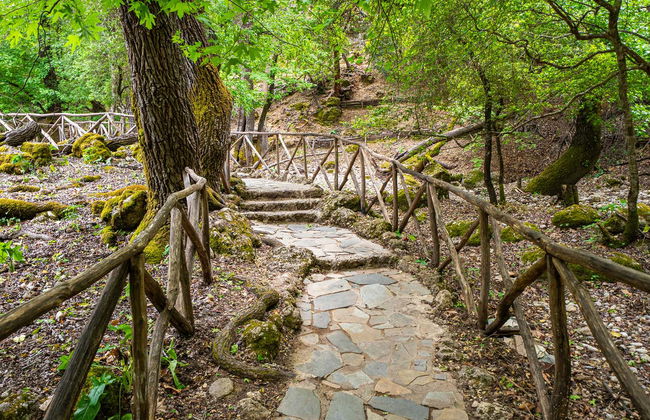 Excursión a la colina Filerimos y valle de las Mariposas - Foto 16