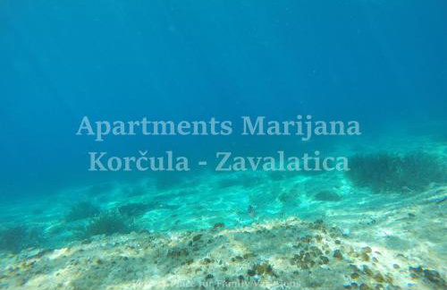 Apartments Marijana - Foto 57