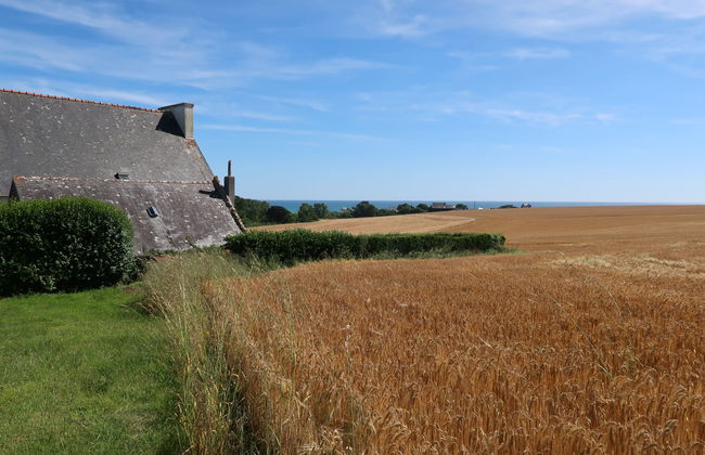 Les Hortensias - Foto 16
